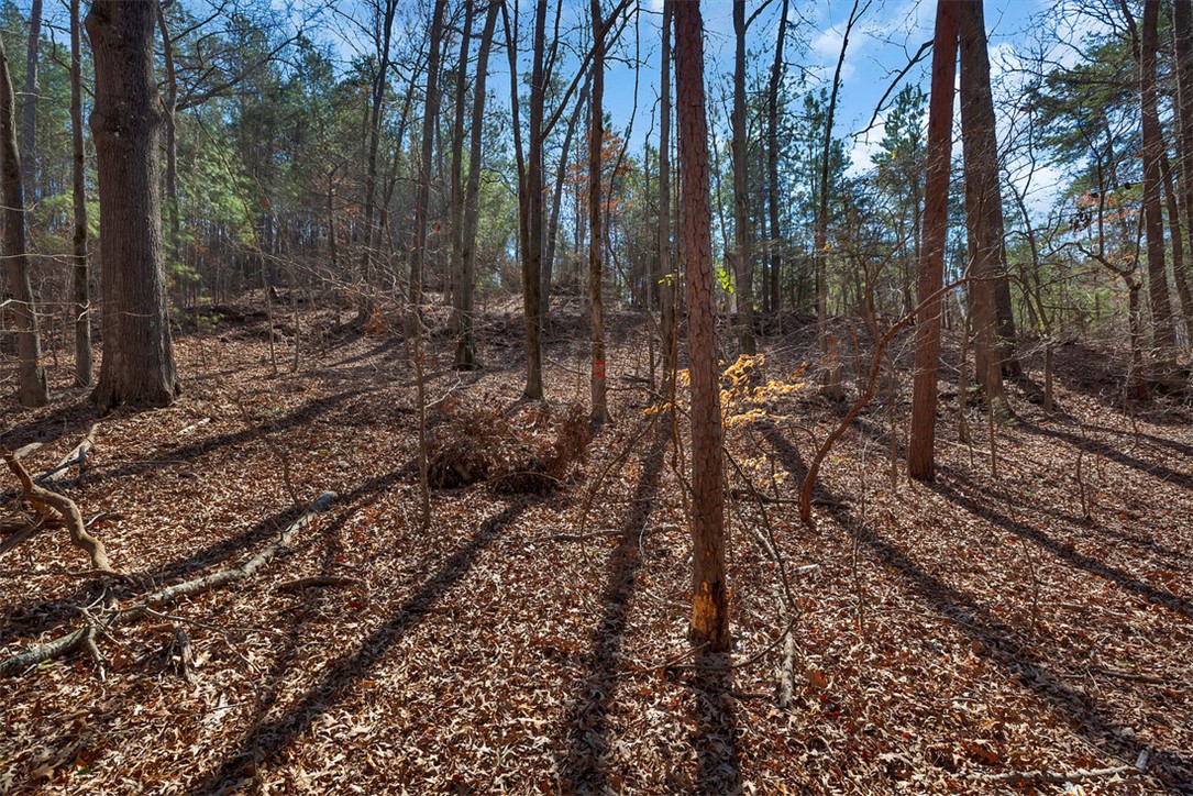 466 Overlook Drive, Unit LOT 14 Fair Play, SC 29643 - Photo 7 of 9