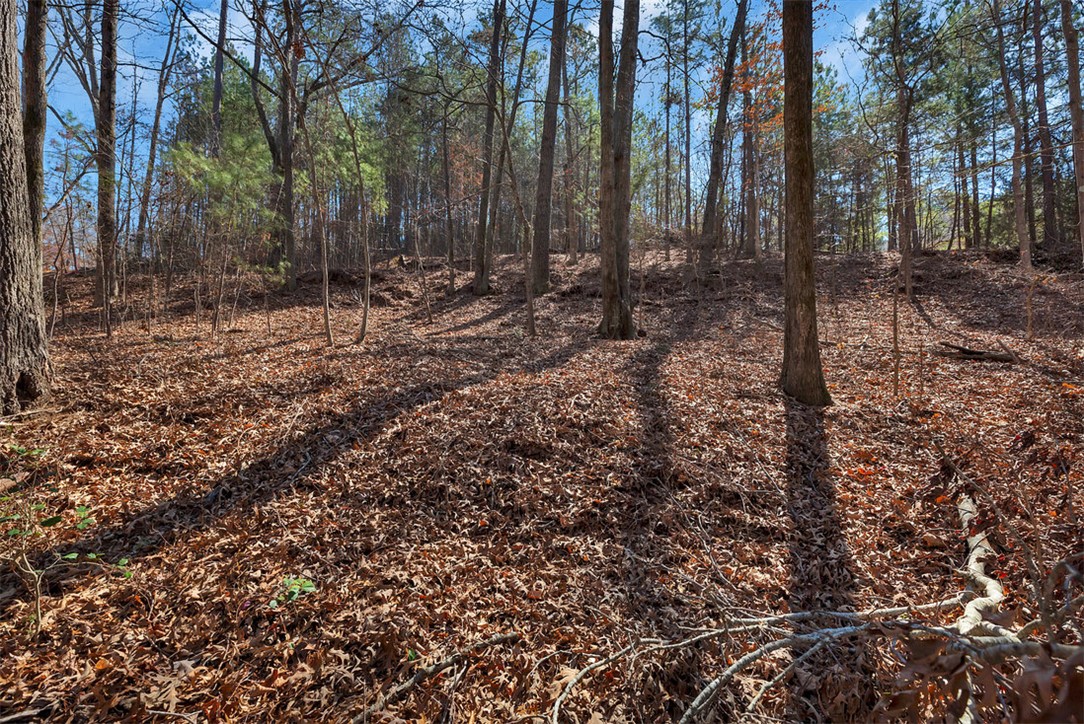 466 Overlook Drive, Unit LOT 14 Fair Play, SC 29643 - Photo 8 of 9