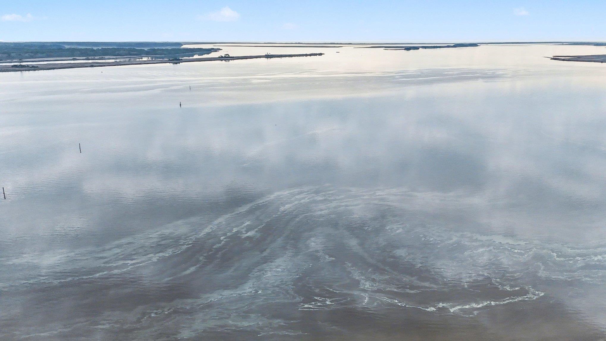 753 Robin Drive Georgetown, SC 29440 - Photo 49 of 49