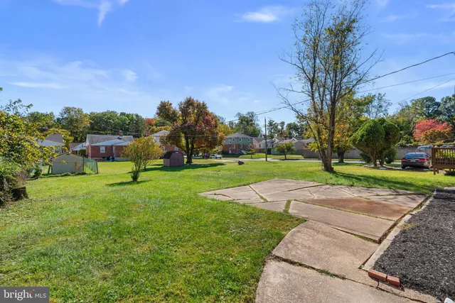 a view of a park with large trees