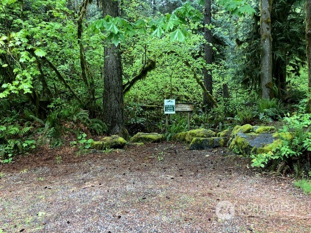 55001 Conrad Road Rockport, WA 98283 - Photo 32 of 40 Gallery Image 32