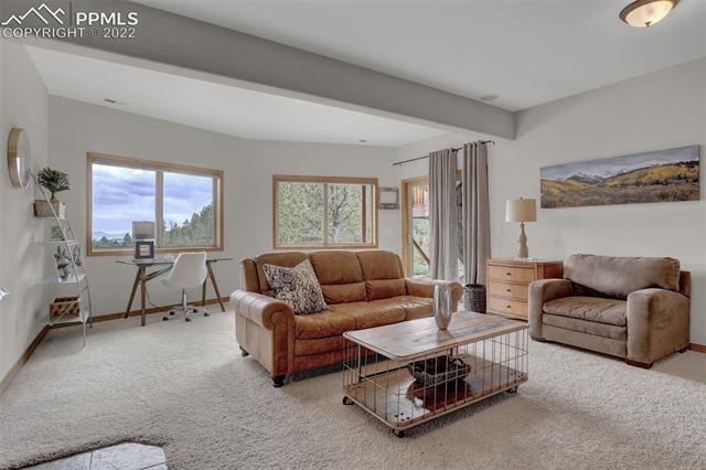 630 Homestead Road Divide, CO 80814 - Photo 40 of 50 Lower-Level Family Room Walks Out!