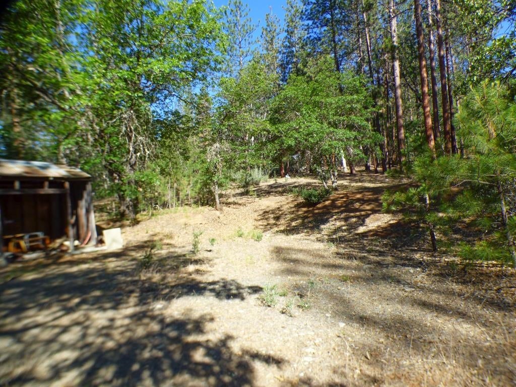 5725 Scott River Road Fort Jones, CA 96032 - Photo 21 of 25 Gallery Image 21