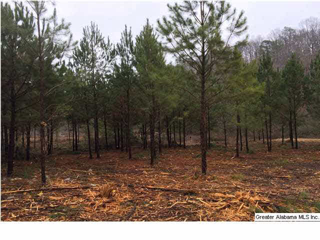 Bluff Ridge Road, Unit 16 Bessemer, AL 35022 - Photo 11 of 11