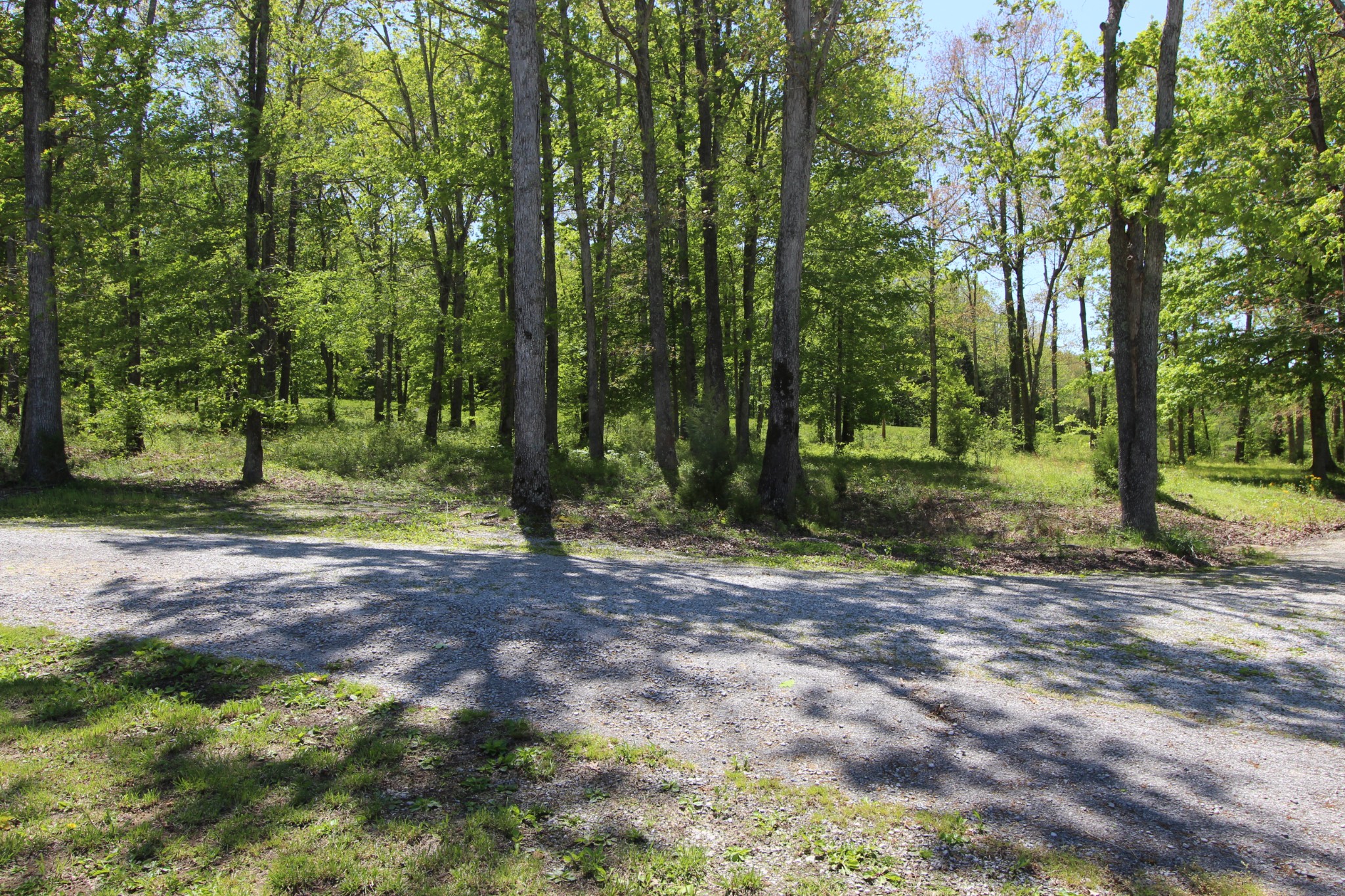 3820 Old Fruit Hill Road Crofton, KY 42217 - Photo 3 of 30 Gallery Image 3