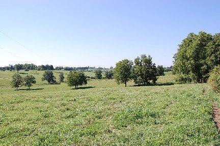 353 Stoney Point Road Paris, KY 40361 - Photo 1 of 16 Photo 1