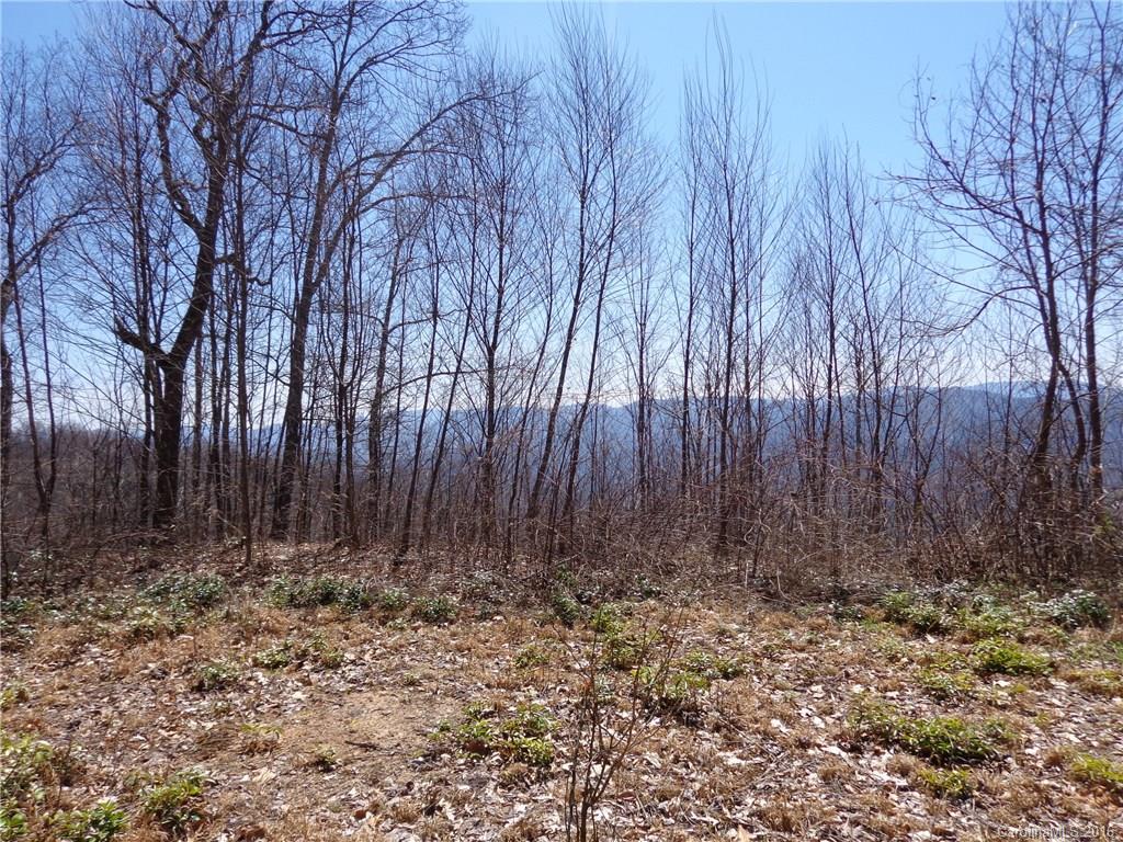 Lot A Lot A Justin Ridge, Unit A Clyde, NC 28721 - Photo 1 of 3