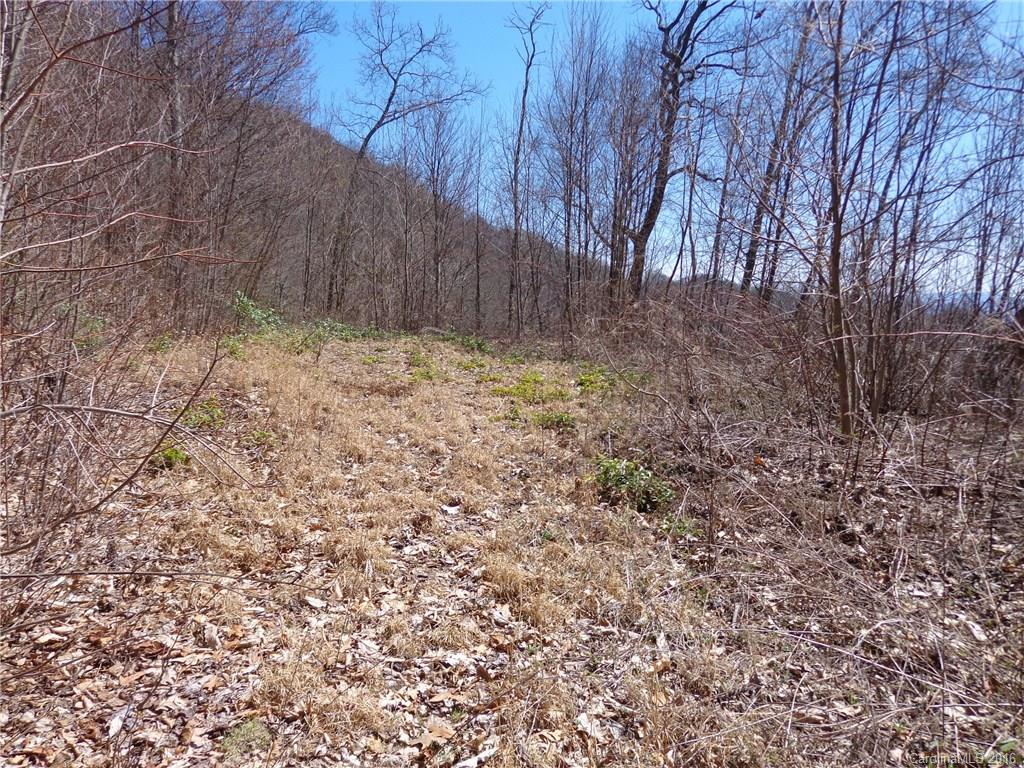 Lot A Lot A Justin Ridge, Unit A Clyde, NC 28721 - Photo 2 of 3