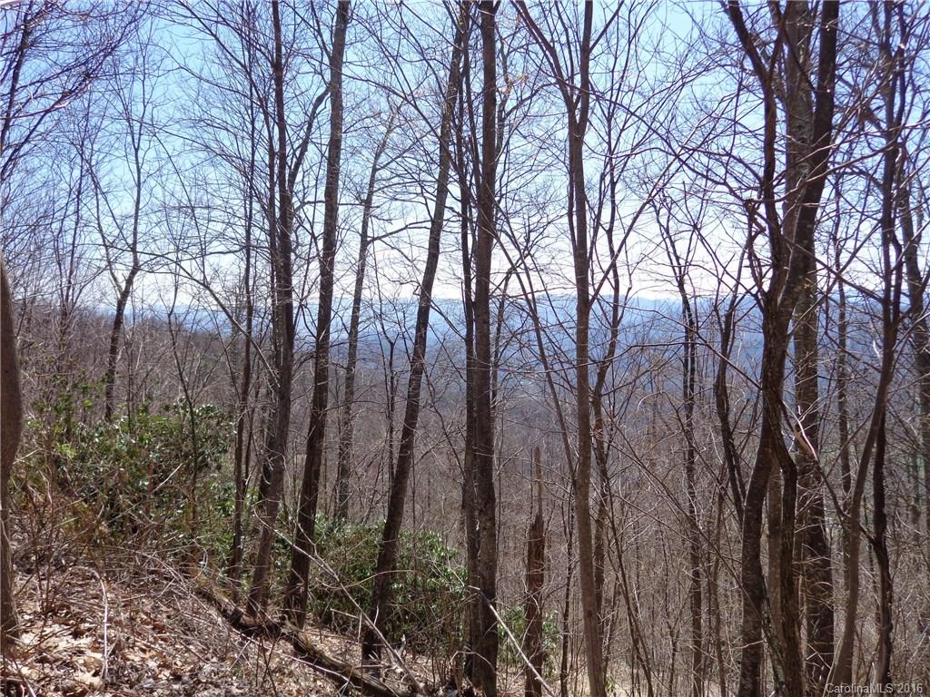 Lot A Lot A Justin Ridge, Unit A Clyde, NC 28721 - Photo 3 of 3
