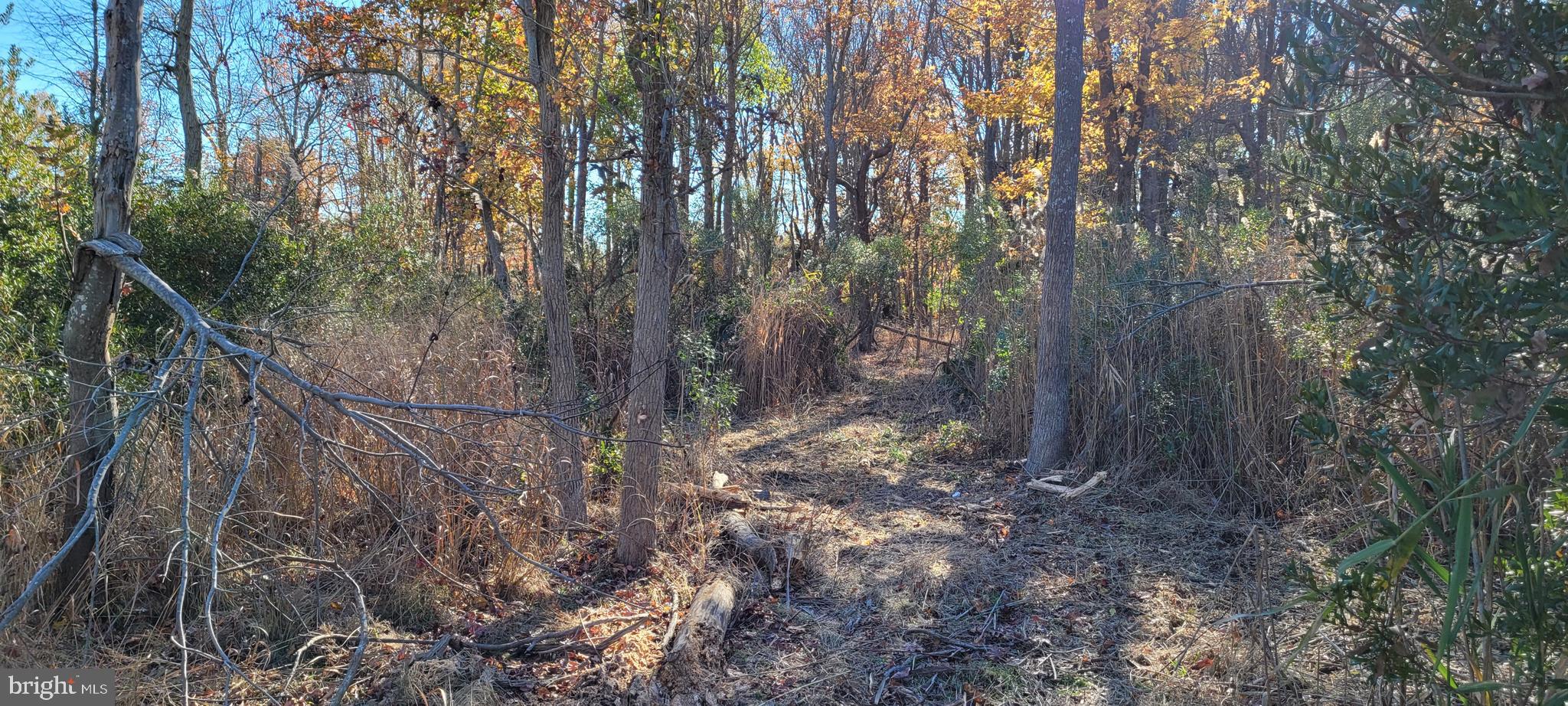 2759 Kitts Hummock Road Dover, DE 19901 - Photo 11 of 13 Gallery Image 11