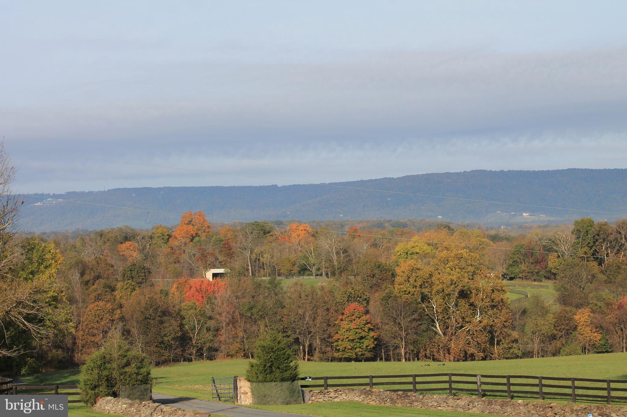 21020 St Louis Road Middleburg, VA 20117 - Photo 4 of 47 Fall View