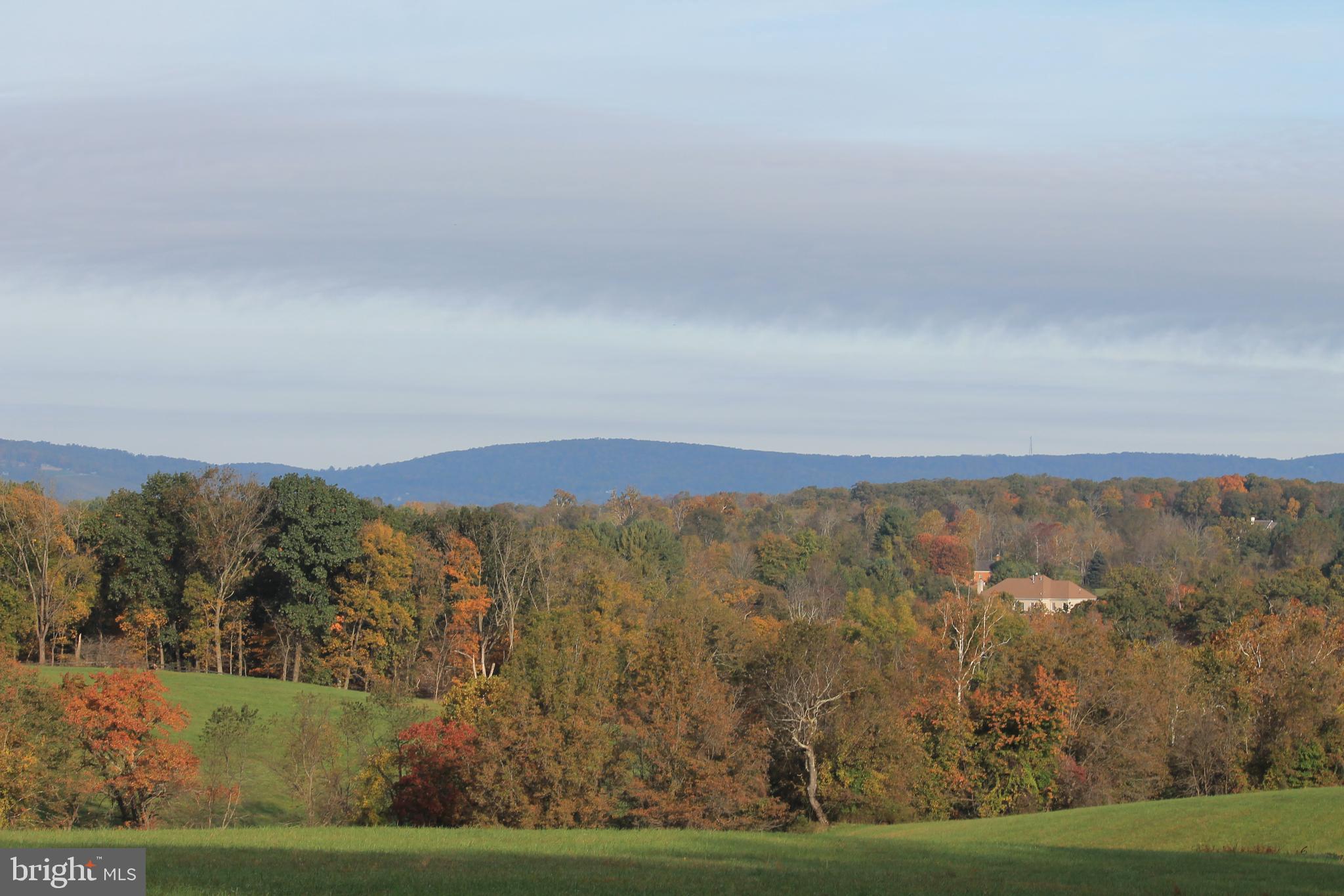 21020 St Louis Road Middleburg, VA 20117 - Photo 5 of 47 Leaves Changing Color
