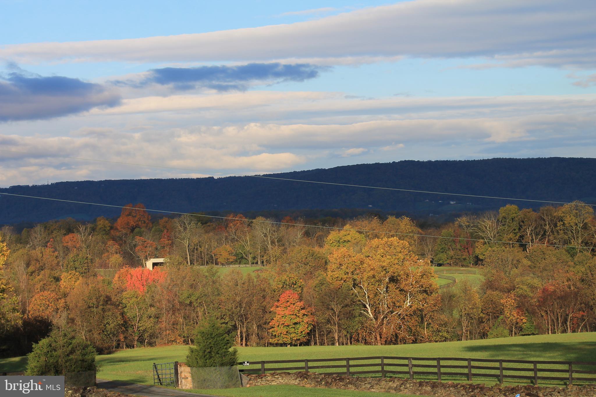 21020 St Louis Road Middleburg, VA 20117 - Photo 47 of 47