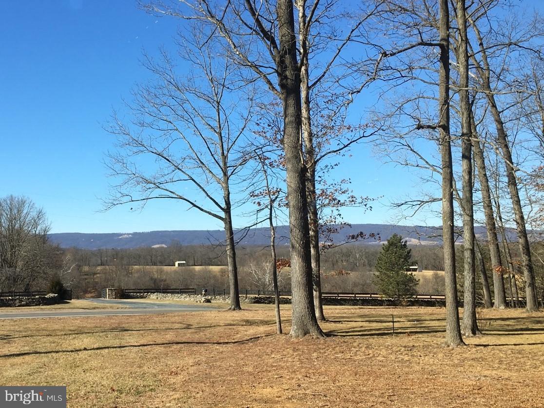 21020 St Louis Road Middleburg, VA 20117 - Photo 6 of 47 Winter View