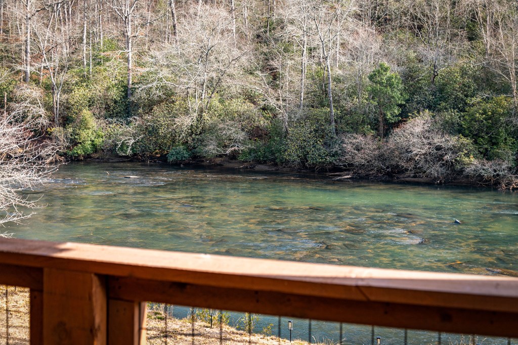 494 Riverbend Manor Blue Ridge, GA 30513 - Photo 69 of 100