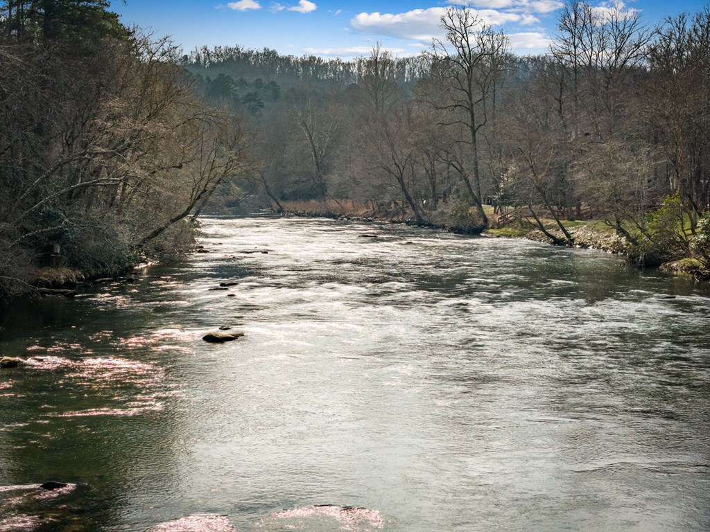 494 Riverbend Manor Blue Ridge, GA 30513 - Photo 97 of 100