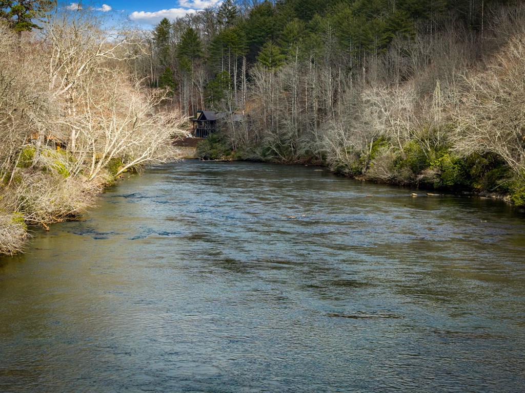 494 Riverbend Manor Blue Ridge, GA 30513 - Photo 98 of 100