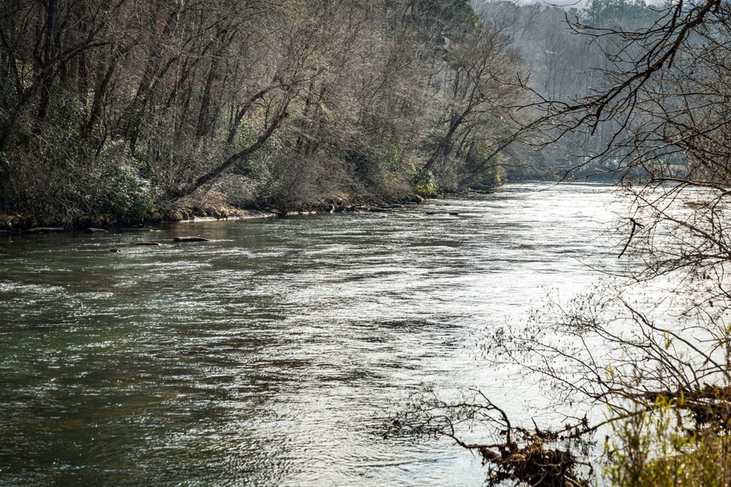 494 Riverbend Manor Blue Ridge, GA 30513 - Photo 99 of 100