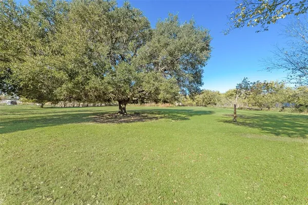 a view of a green field