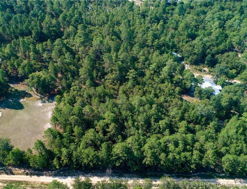 an aerial view of residential house with outdoor space and trees all around