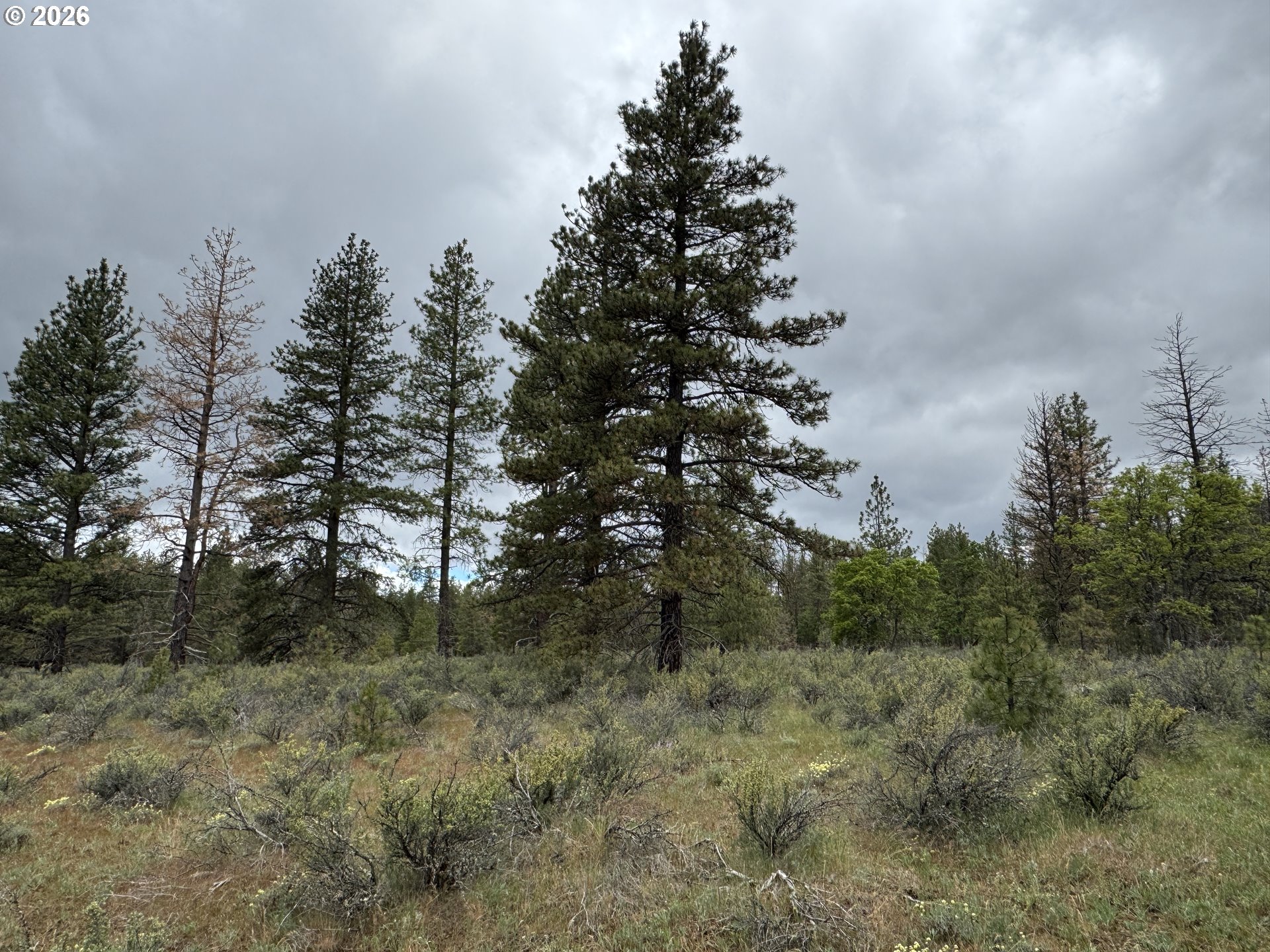 Old Mountain Road Goldendale, WA 98620 - Photo 27 of 41