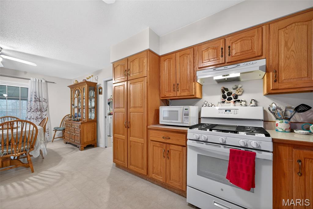 244 South Moore School Road Troy, MO 63379 - Photo 11 of 25