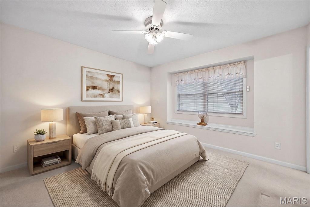 244 South Moore School Road Troy, MO 63379 - Photo 12 of 25