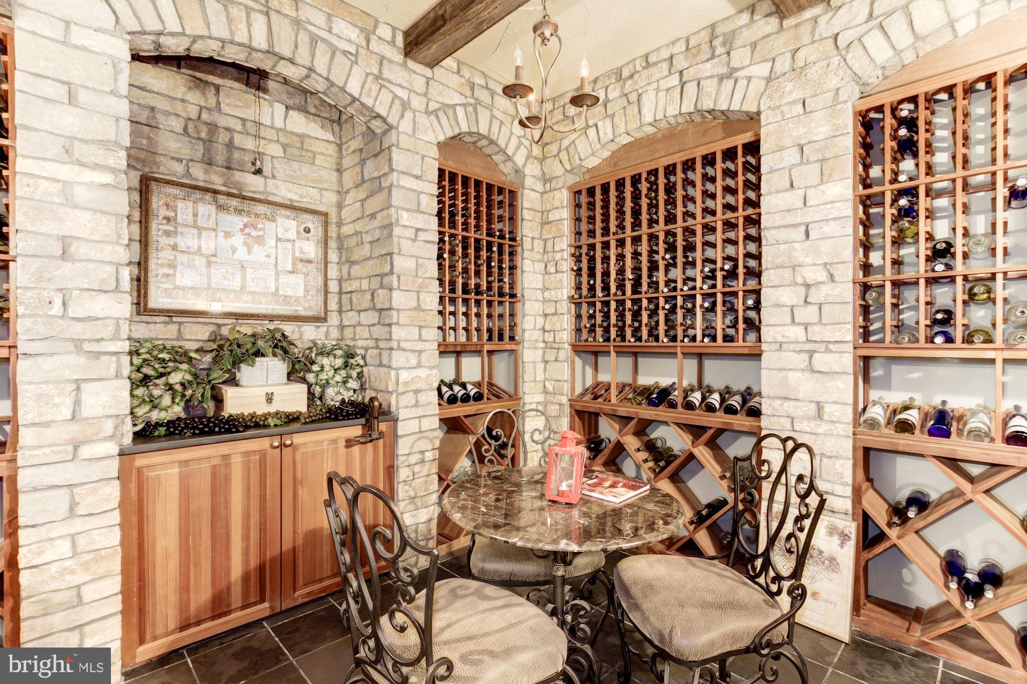 10600 Rivers Bend Lane Potomac, MD 20854 - Photo 4 of 42 Wine Cellar in Lower Level