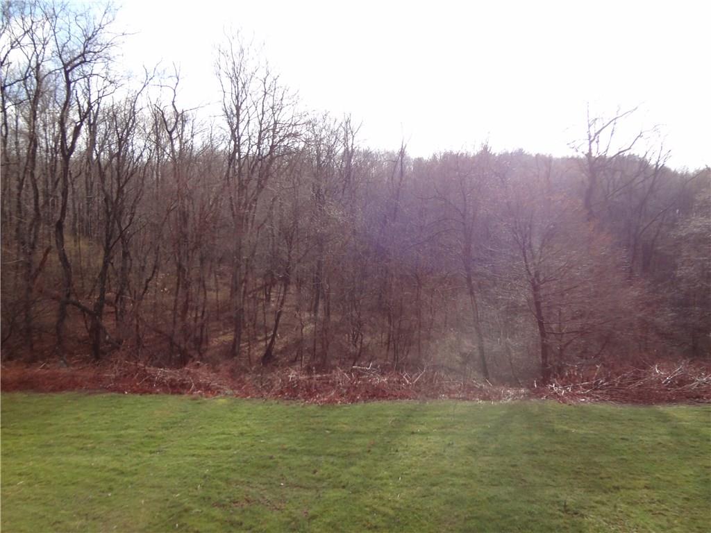 954 Achortown Road Beaver Falls, PA 15010 - Photo 23 of 25 Rear Yard with View