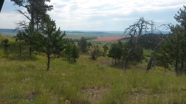 659 Deadmans Canyon Road Reed Point, MT 59069 - Photo 5 of 96 Gallery Image 5