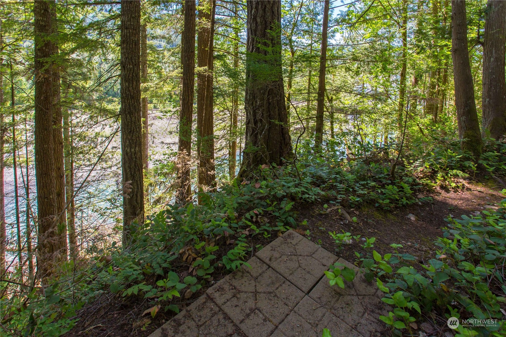 45 Riverside Drive Deming, WA 98244 - Photo 20 of 31 Gallery Image 20