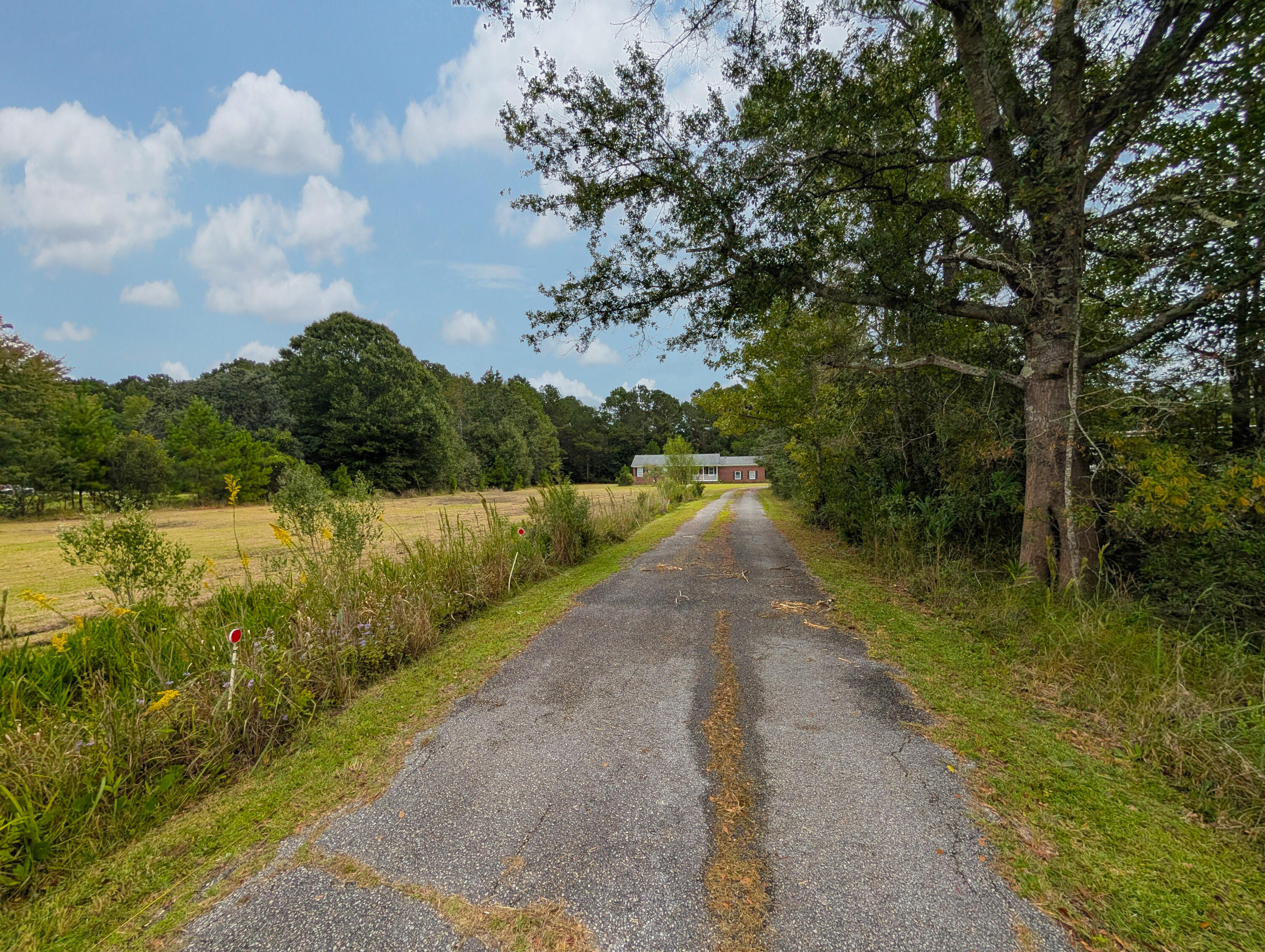 6509 North Highway 17 Awendaw, SC 29429 - Photo 3 of 34 30-driveway
