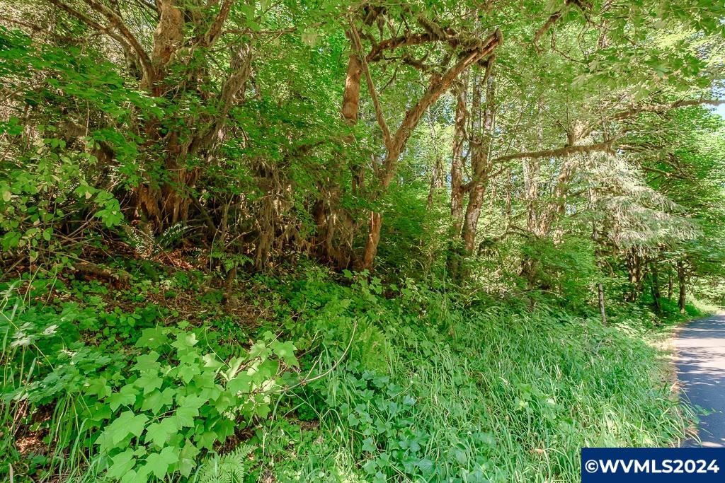 12860 Gilbert Creek Road Willamina, OR 97396 - Photo 38 of 38