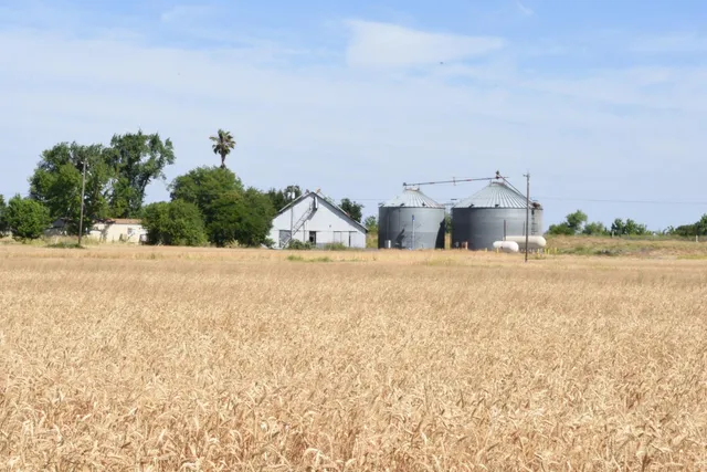 $11,950,000 | 16071 Tyler Island Road, Walnut Grove, CA 95690