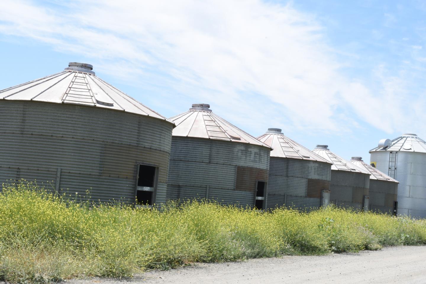 16071 Tyler Island Road Walnut Grove, CA 95690 - Photo 7 of 10 a backyard of a house with lots of green space