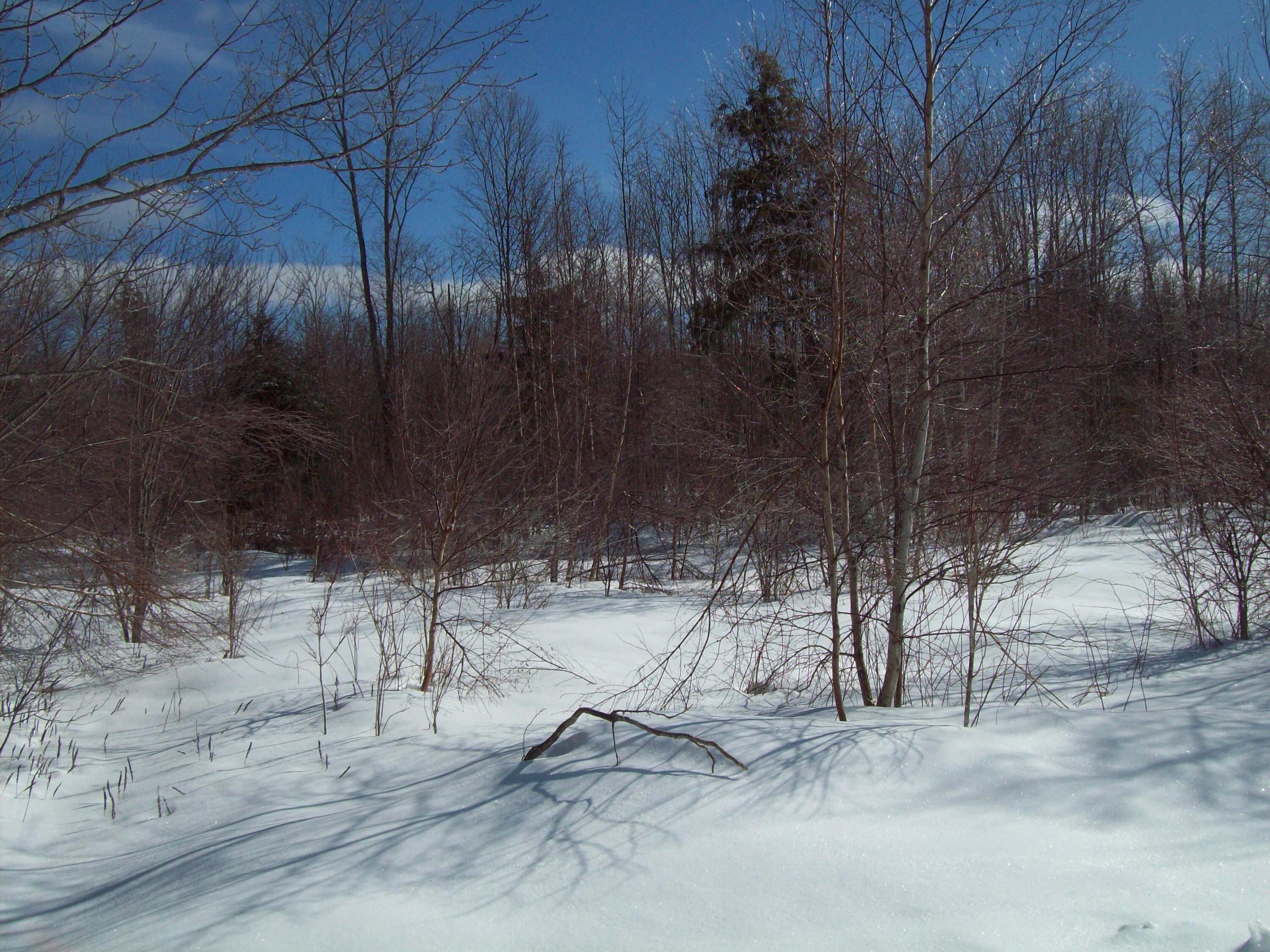 T7 R3 Nbpp Me 04487 Drive Springfield, ME 04487 - Photo 1 of 8 100_3359