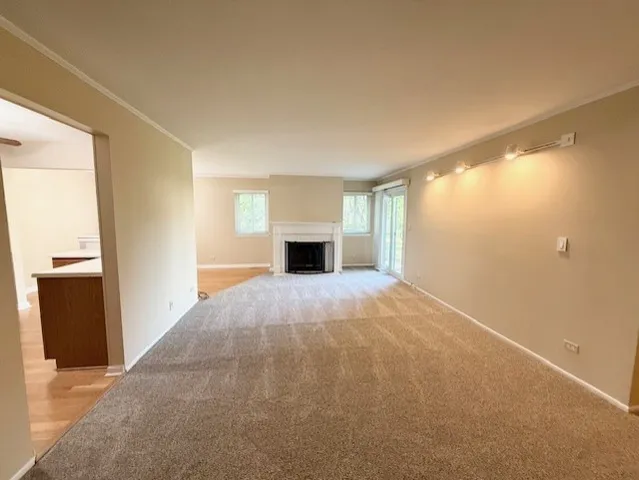 a big room with closet and a fireplace