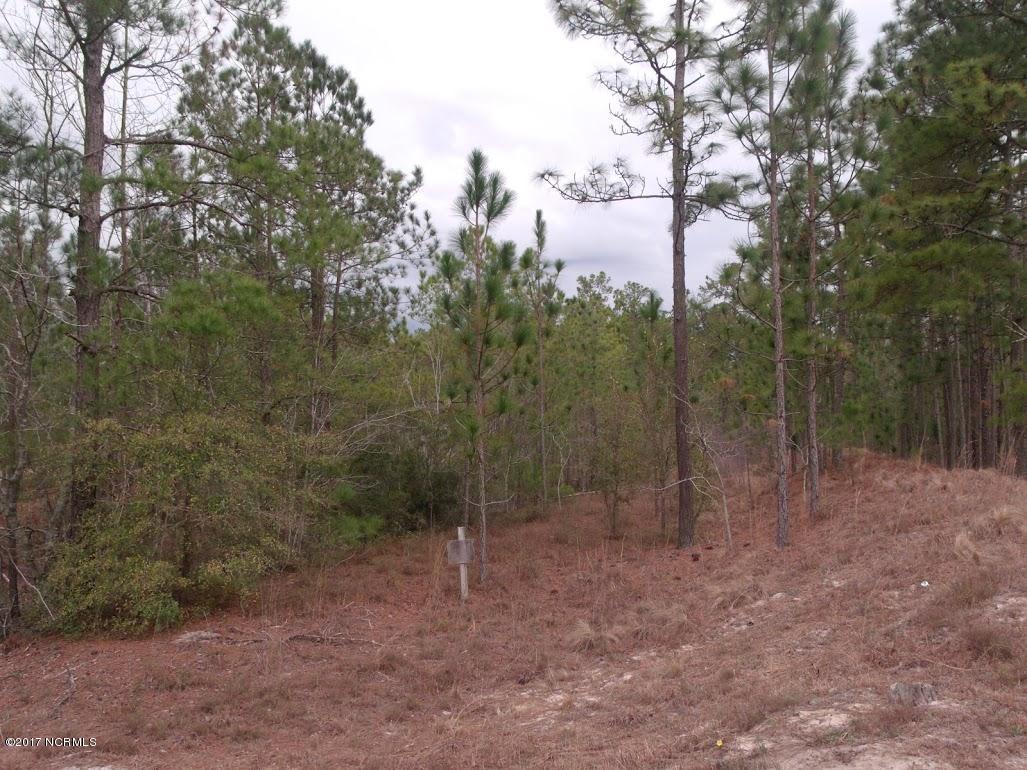 667 Buckle Road Currie, NC 28435 - Photo 4 of 6 GEDC7056