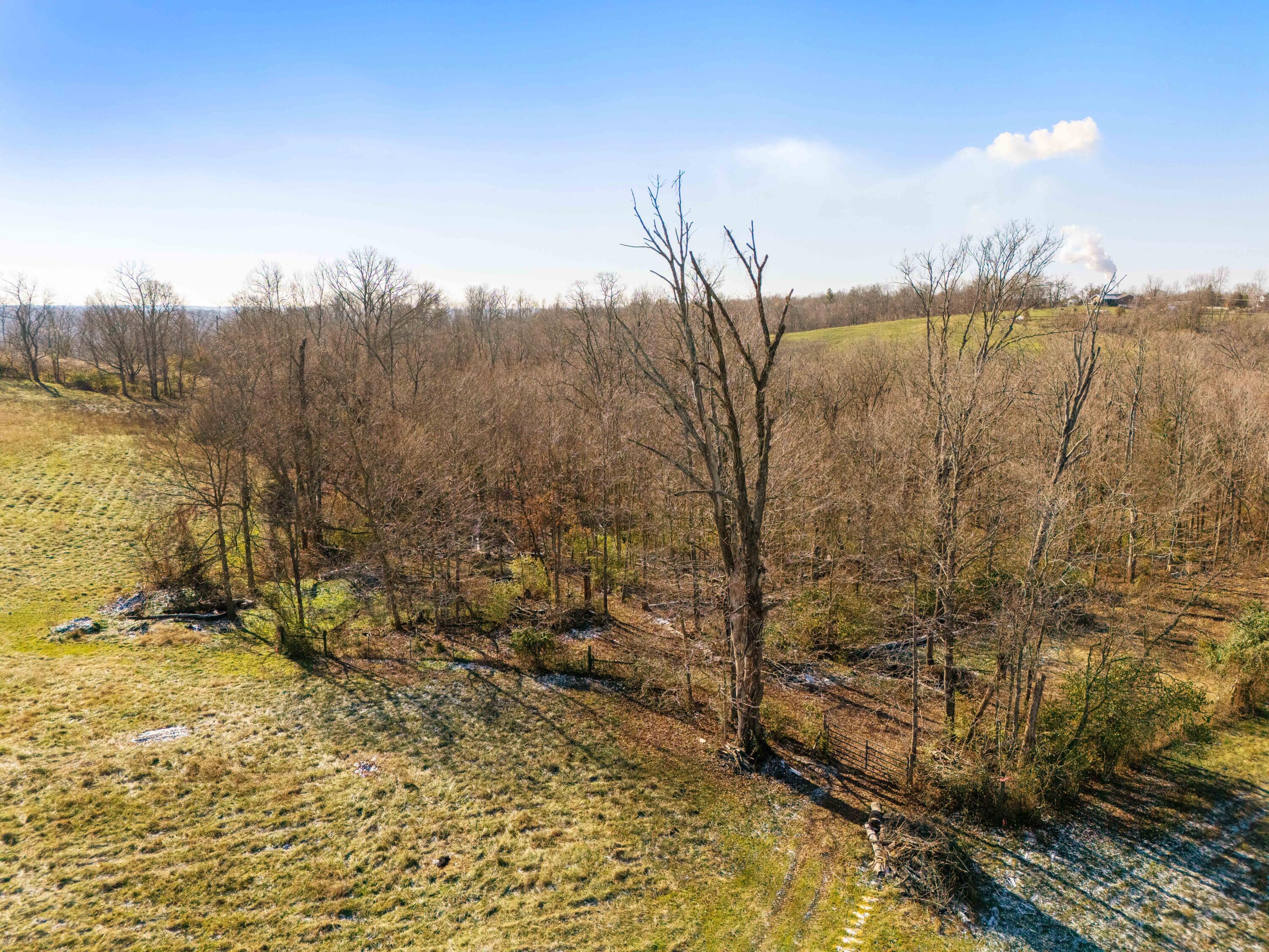 0 Rabbit Hash Road Union, KY 41091 - Photo 12 of 14 Gallery Image 12