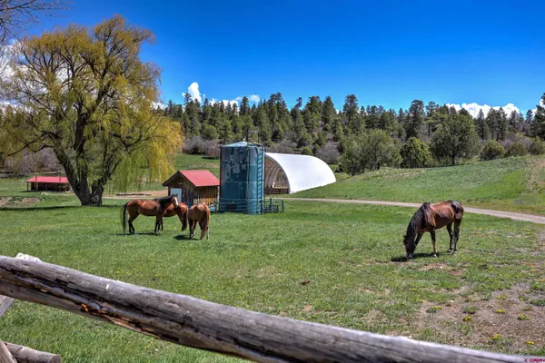 $3,895,000 | 1134 Parelli Institute Drive, Pagosa Springs, CO 81147