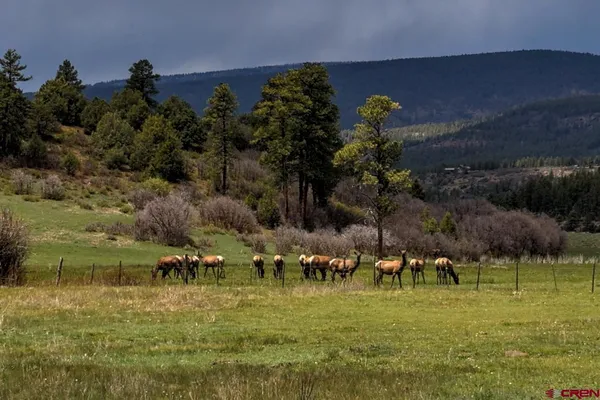 $3,895,000 | 1134 Parelli Institute Drive, Pagosa Springs, CO 81147