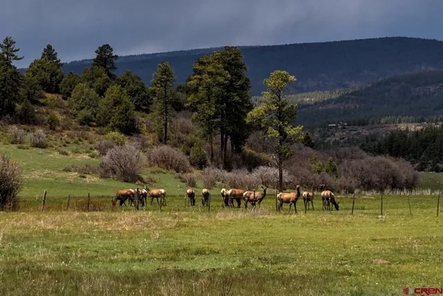 a view of a golf course with a garden