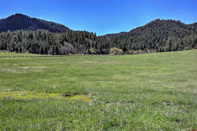 a view of grassy field with mountain in the background