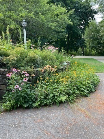 37 Fellows Road Ipswich, MA 01938 - Photo 33 of 42 a view of a garden with plants