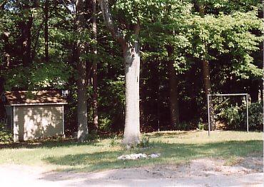 64 East Piney Road Manistee, MI 49660 - Photo 4 of 9 Additional Photo