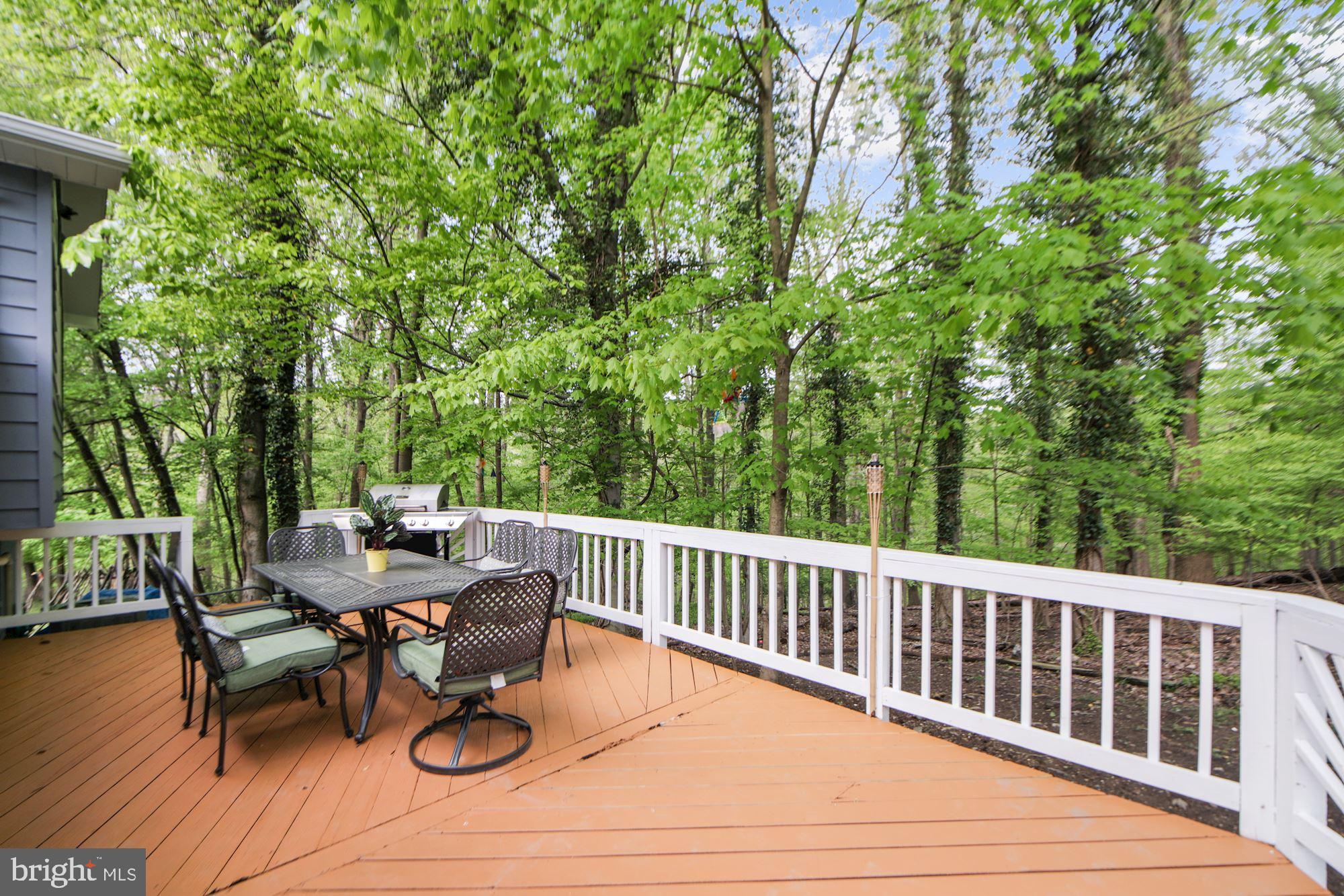 432 Branch Drive Silver Spring, MD 20901 - Photo 32 of 38 Gallery Image 32