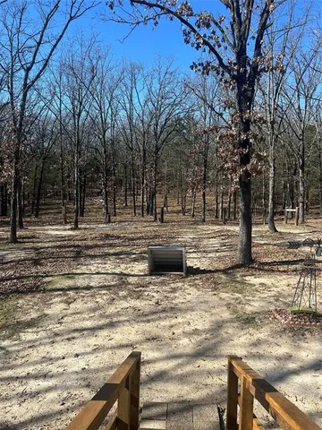 a view of a yard with a large tree
