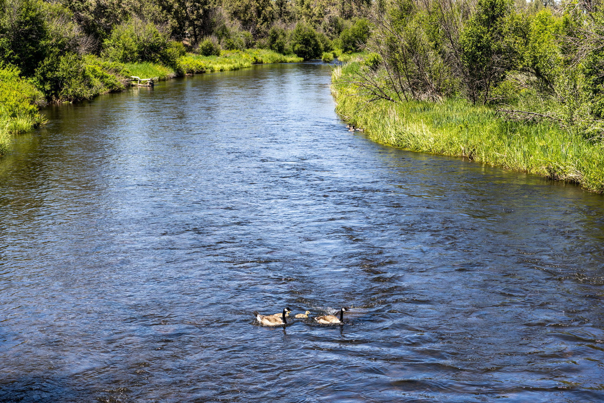 20150 Tumalo Road Bend, OR 97703 - Photo 51 of 53 RIVERLIFE...