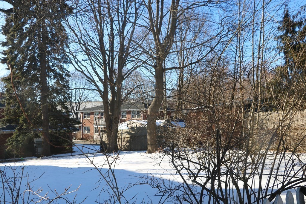 90 Pine Street Swampscott, MA 01907 - Photo 4 of 22 a street view with large trees