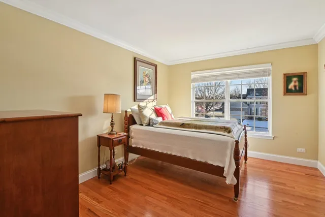 a living room with a bed furniture and a window